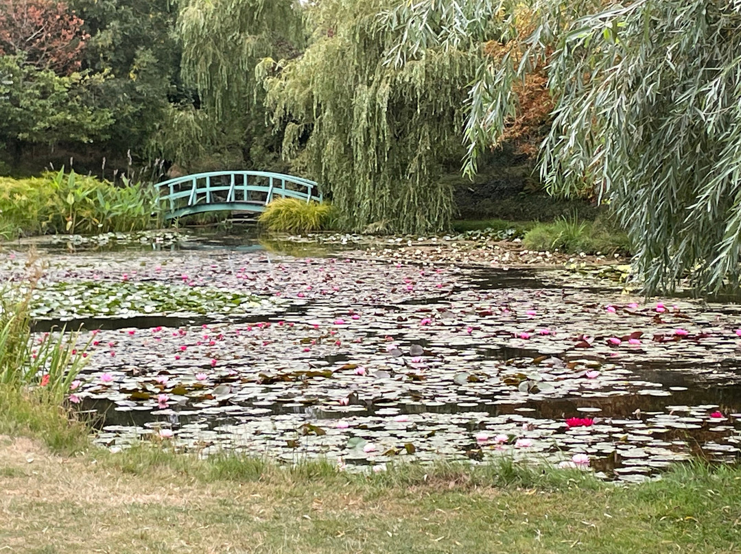 Bennetts Water Gardens-Chickerell必去景点