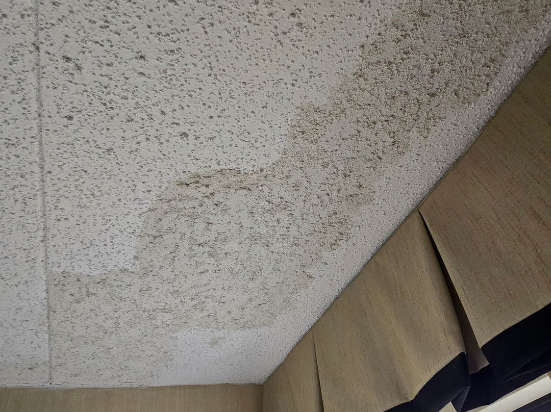 Wingate by Wyndham Springfield主图