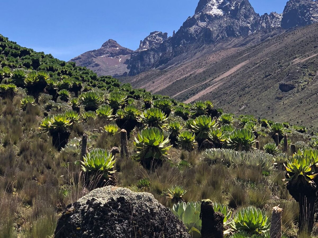 Gracious Trekking Expeditions-南由基必去景点
