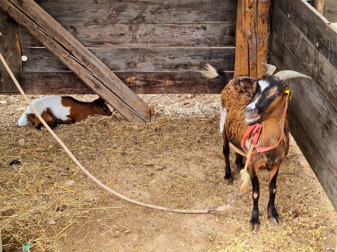 Canoa Sul Tirino - Abruzzo Wild-Bussi sul Tirino必去景点