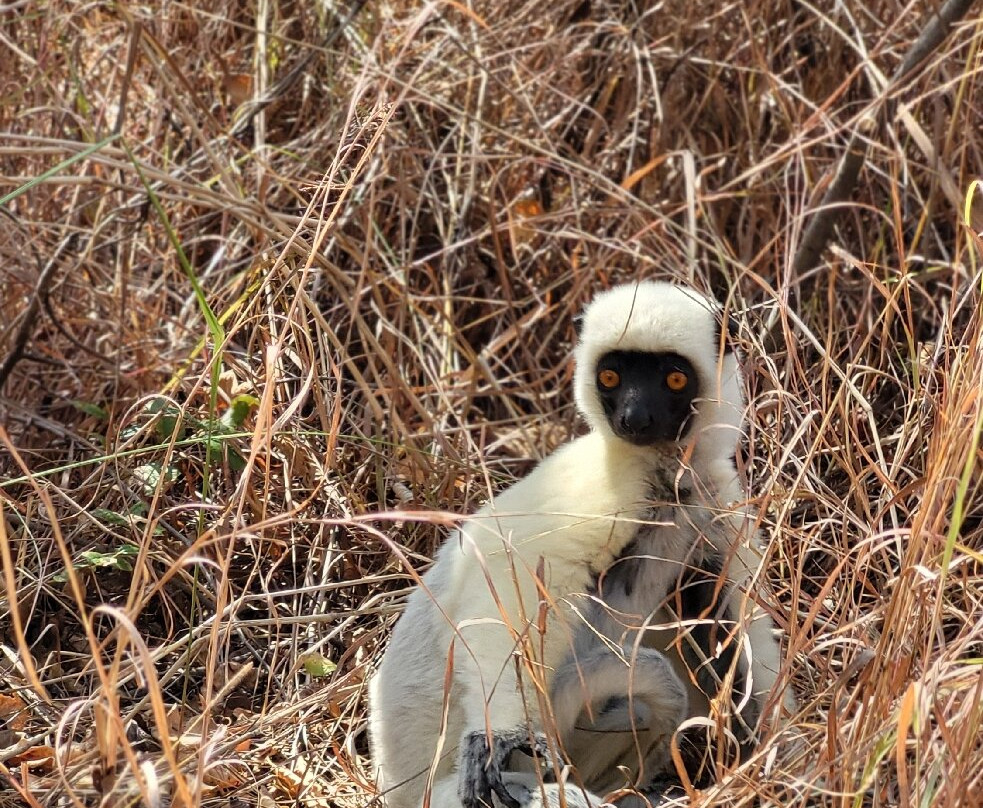 Jean Be Tours-安塔那那利佛必去景点