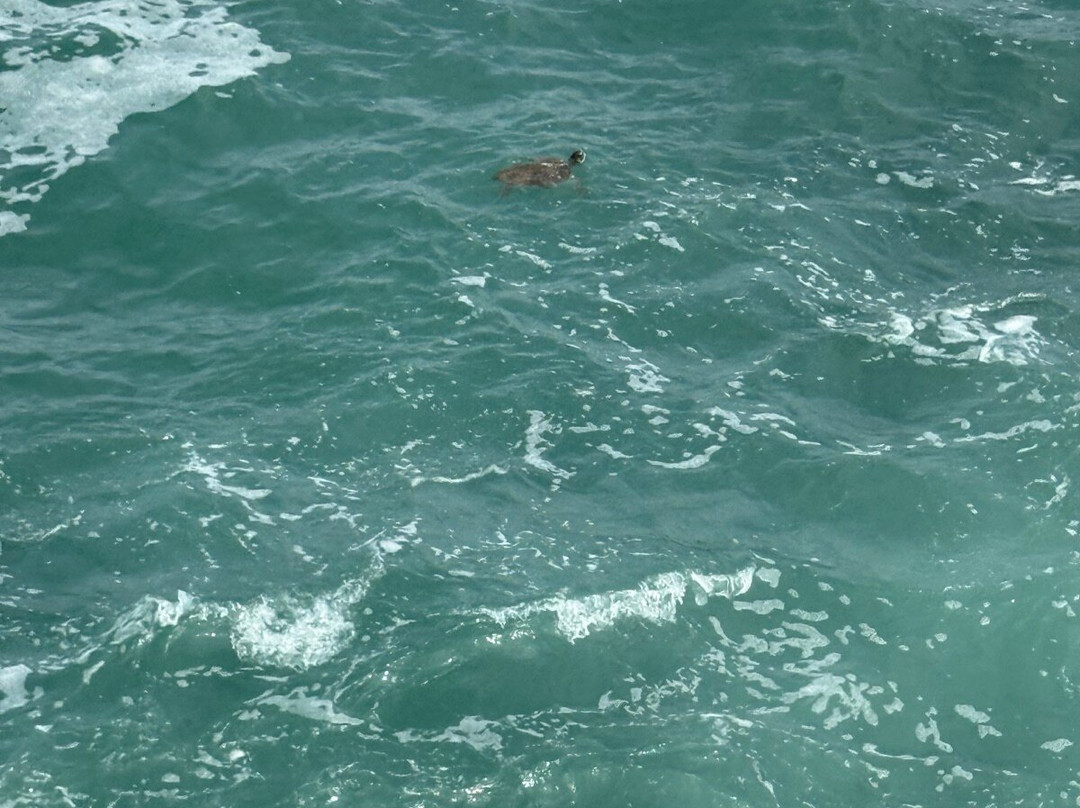 Boa Vista Carefy-萨尔雷必去景点