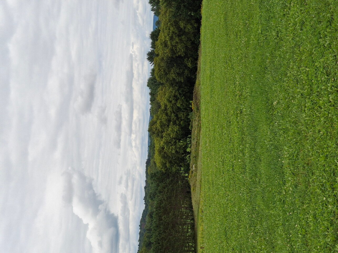 Balanced Rock Winery-巴拉布必去景点