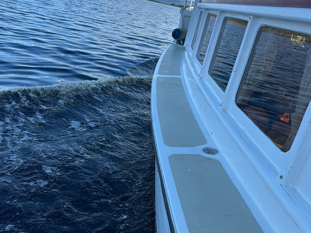 Huon River Cruises-Castle Forbes Bay必去景点