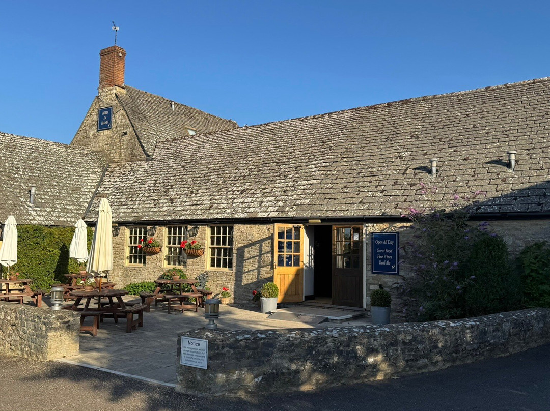 The Bird in Hand主图