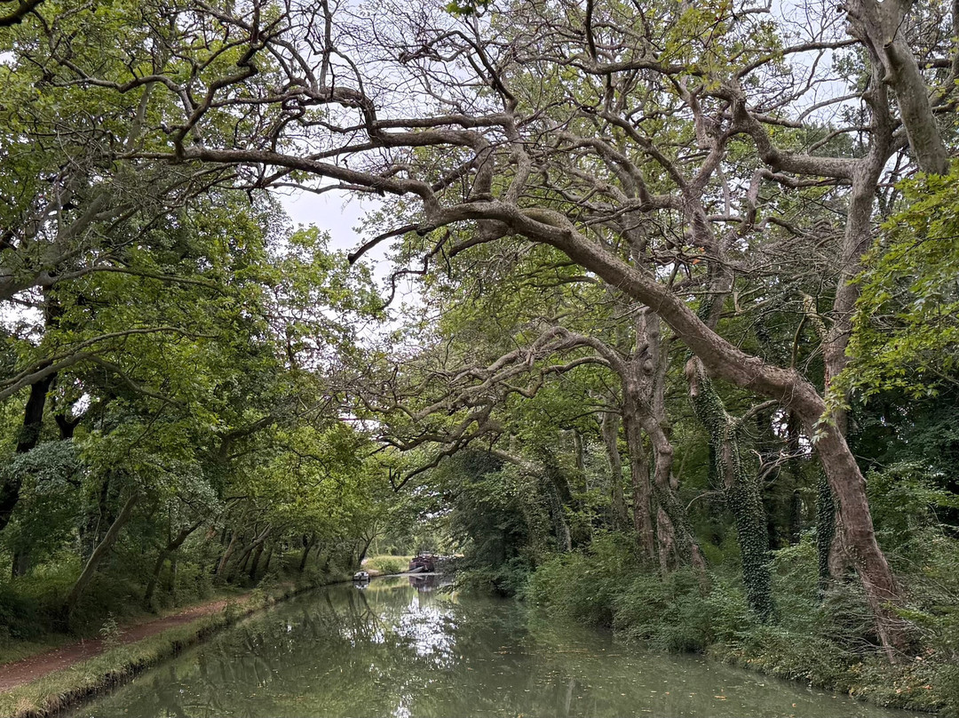 Le Boat - Castelnaudary-Castelnaudary必去景点