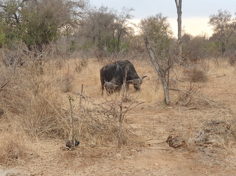 Ashridge Safaris & Guesthouse-雾观必去景点