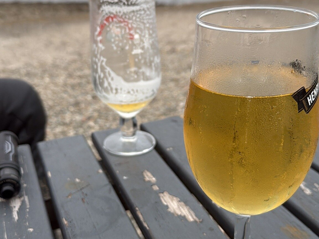 The Gazelle Hotel主图