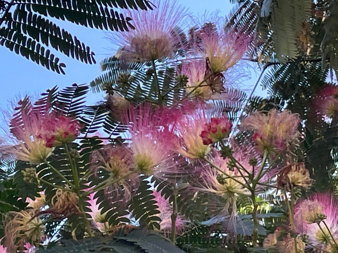 Hotel Restaurant au Cheval Blanc主图