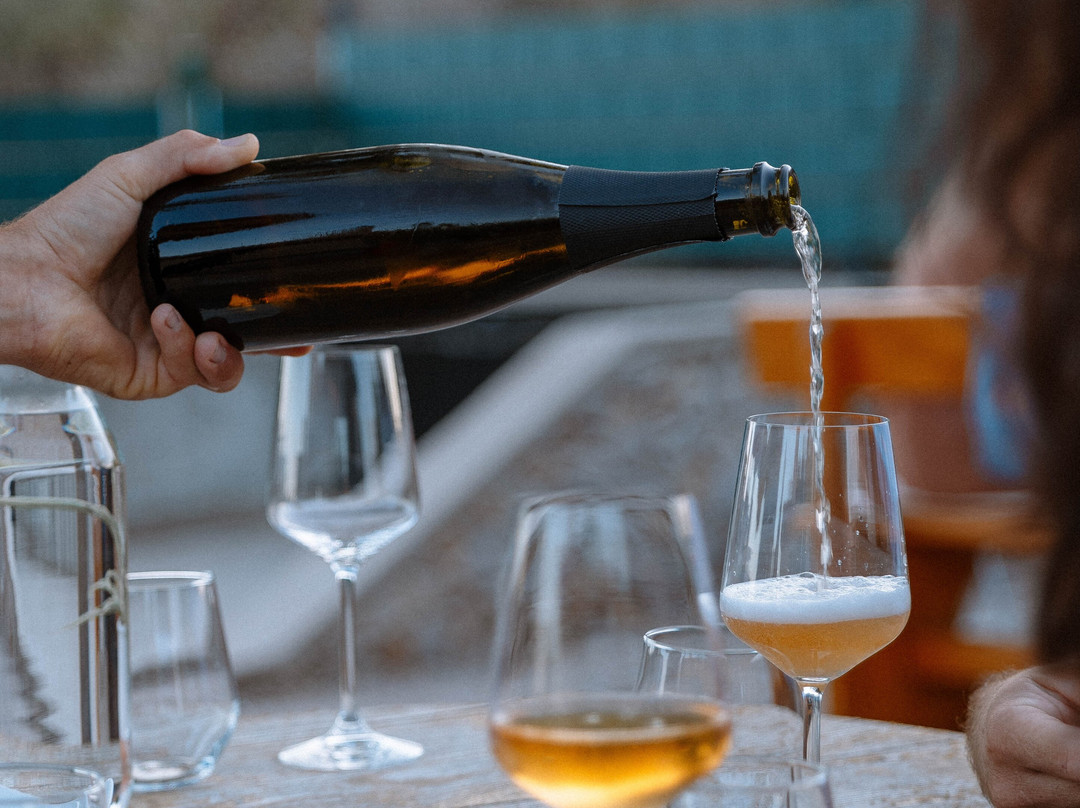 Authentic Dalmatian Wine Tasting at Family Winery-佛迪赛必去景点