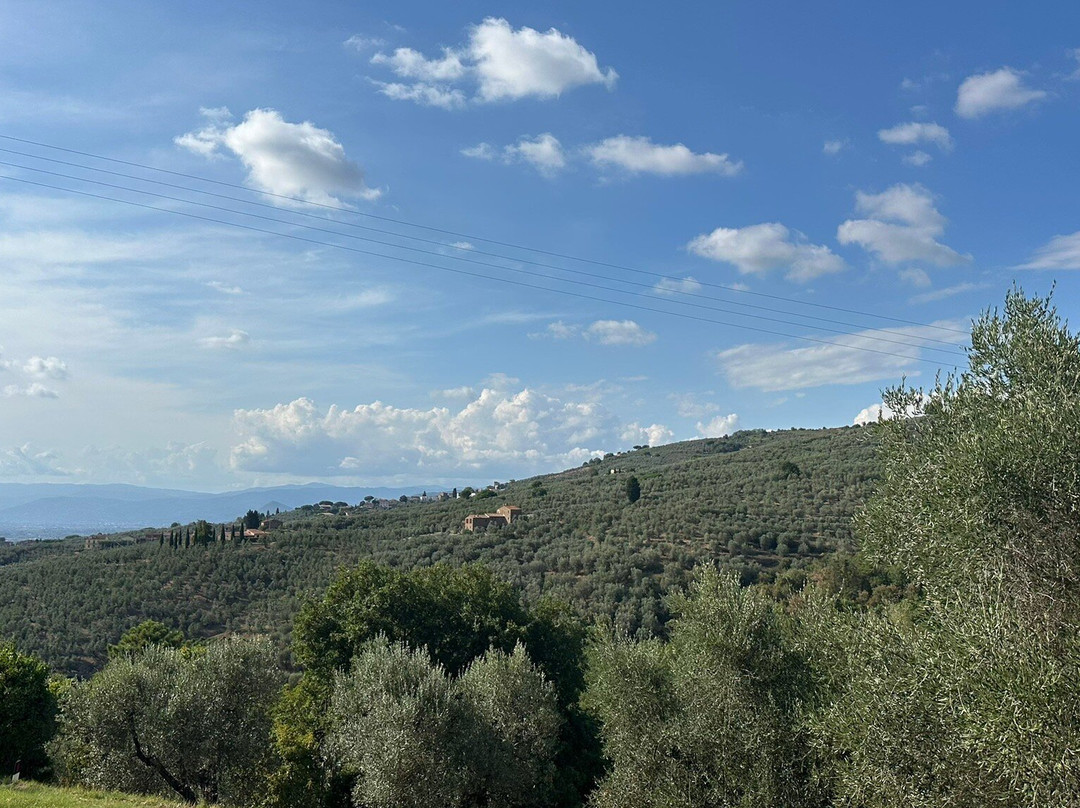 Leonardo's Birthplace (Casa Natale di Leonardo)-芬奇必去景点