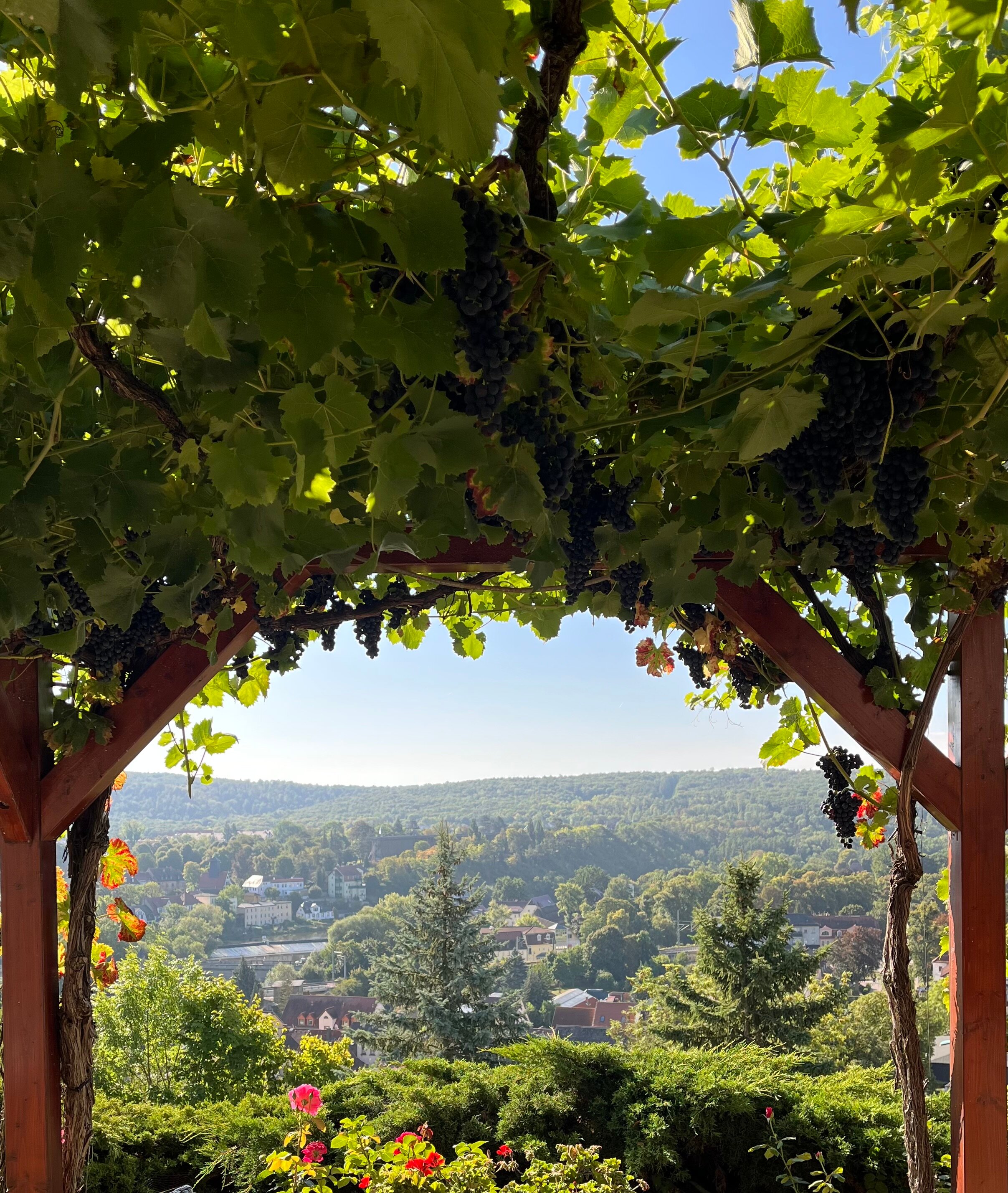 尹斯科别墅弗莱尔酒店-浴室