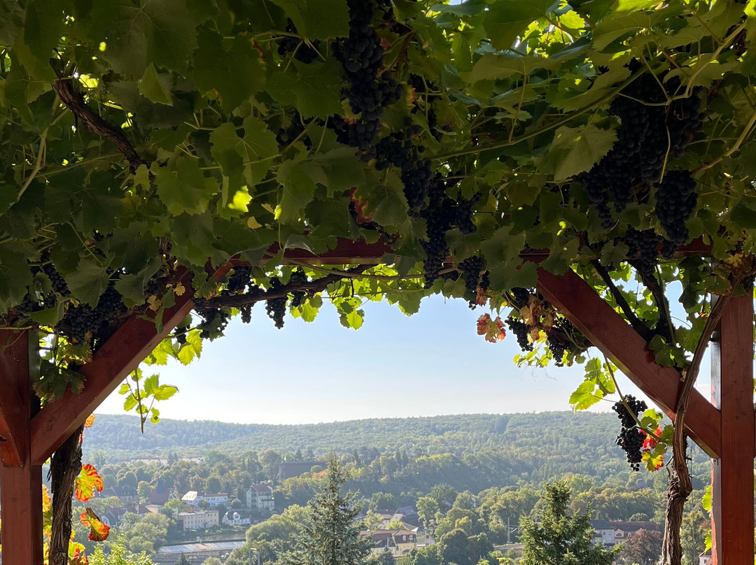 尹斯科别墅弗莱尔酒店主图