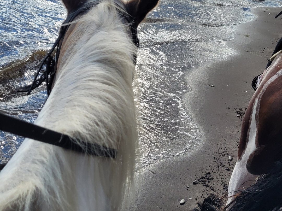 Le Domaine du Centaure-Gaspe必去景点