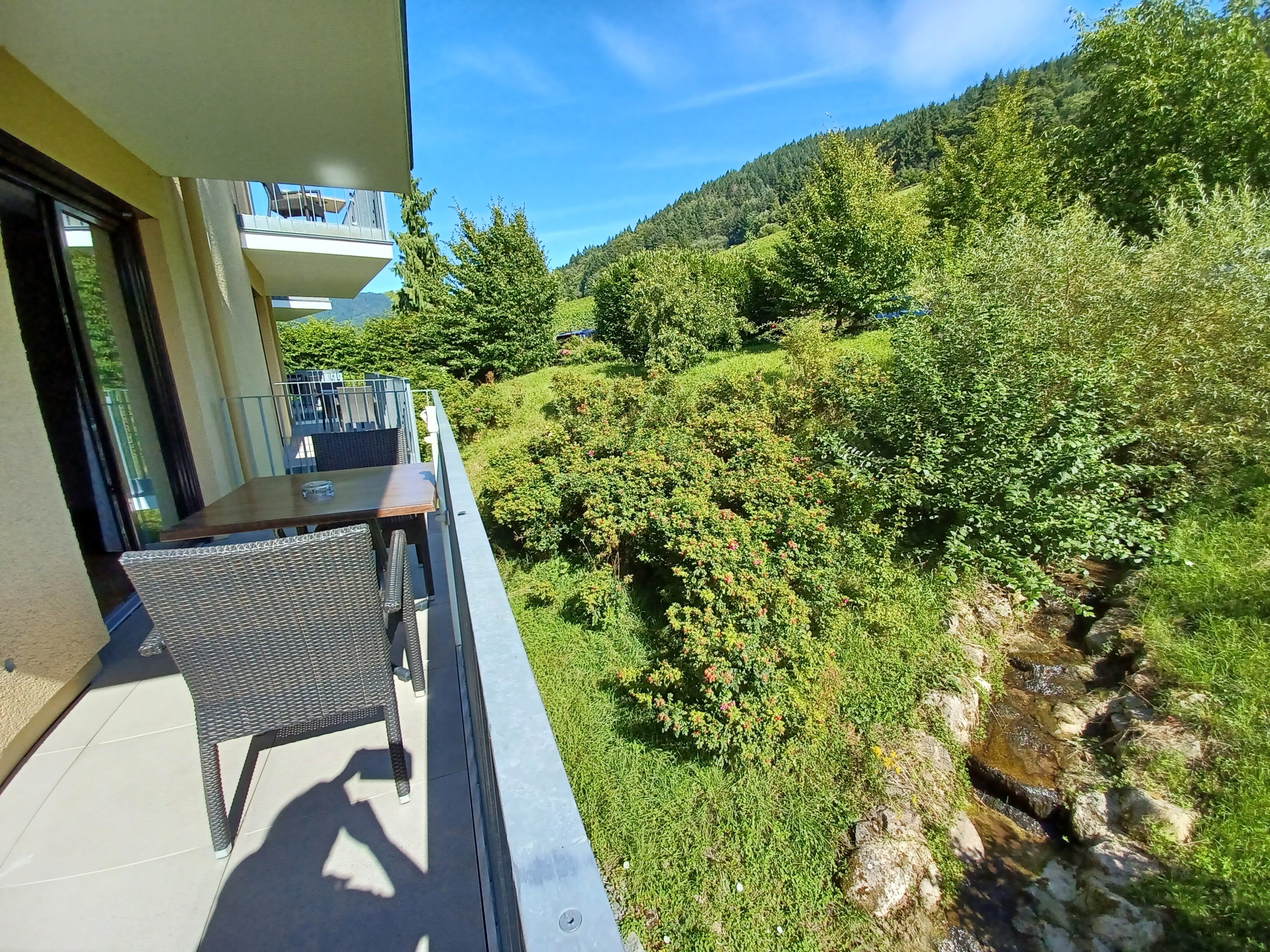 里宾霍夫酒店-客卧