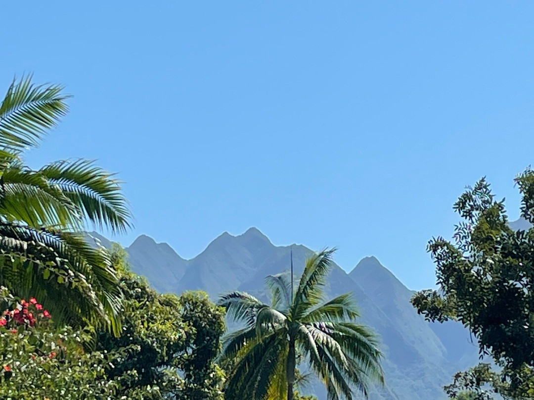 Tourisme de l'Entre-Deux-Entre-Deux必去景点