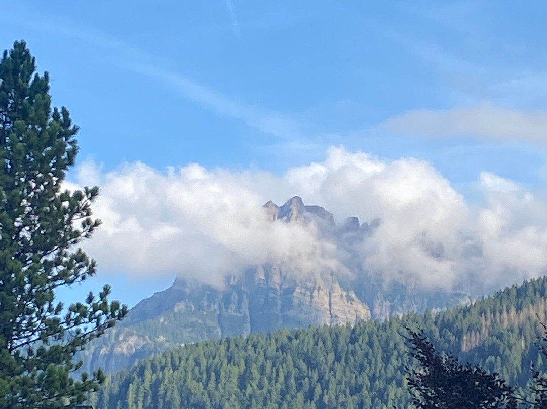 Park Hotel Arnica主图