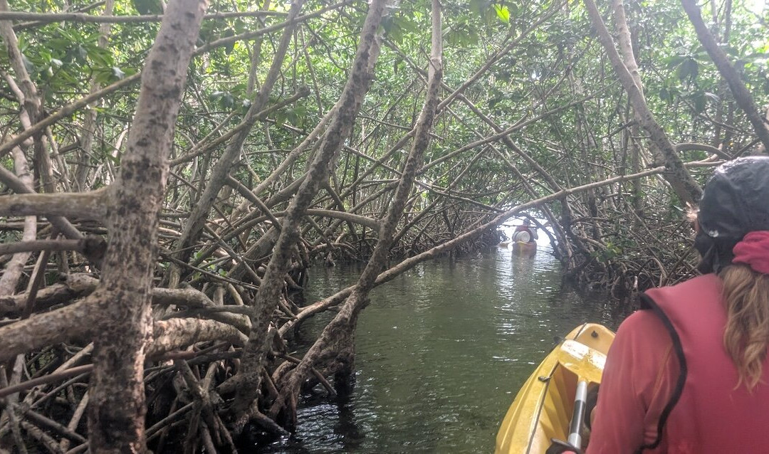 Yalodé Kayak Canyon Bain De Forêt-瓜德罗普岛必去景点