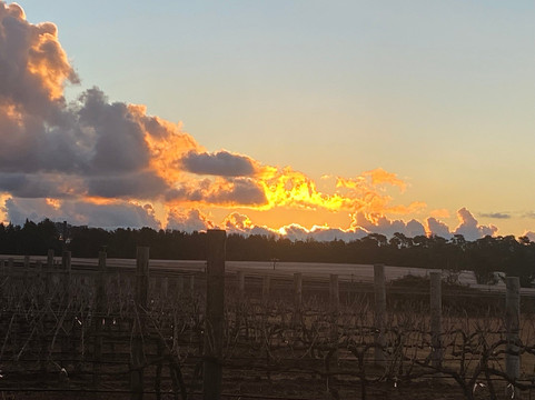 Heritage Estate Winery-Cottonvale必去景点