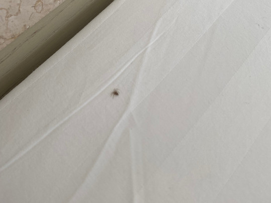 阿兰蓝光酒店主图