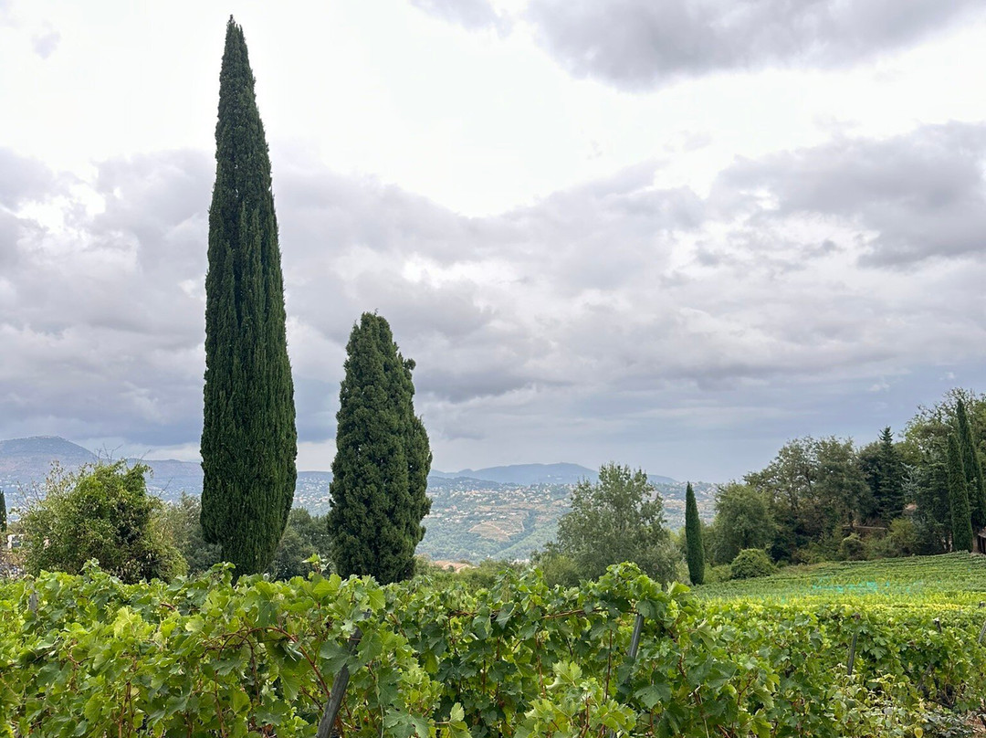 Domaine Des Hautes Collines-Saint Jeannet必去景点