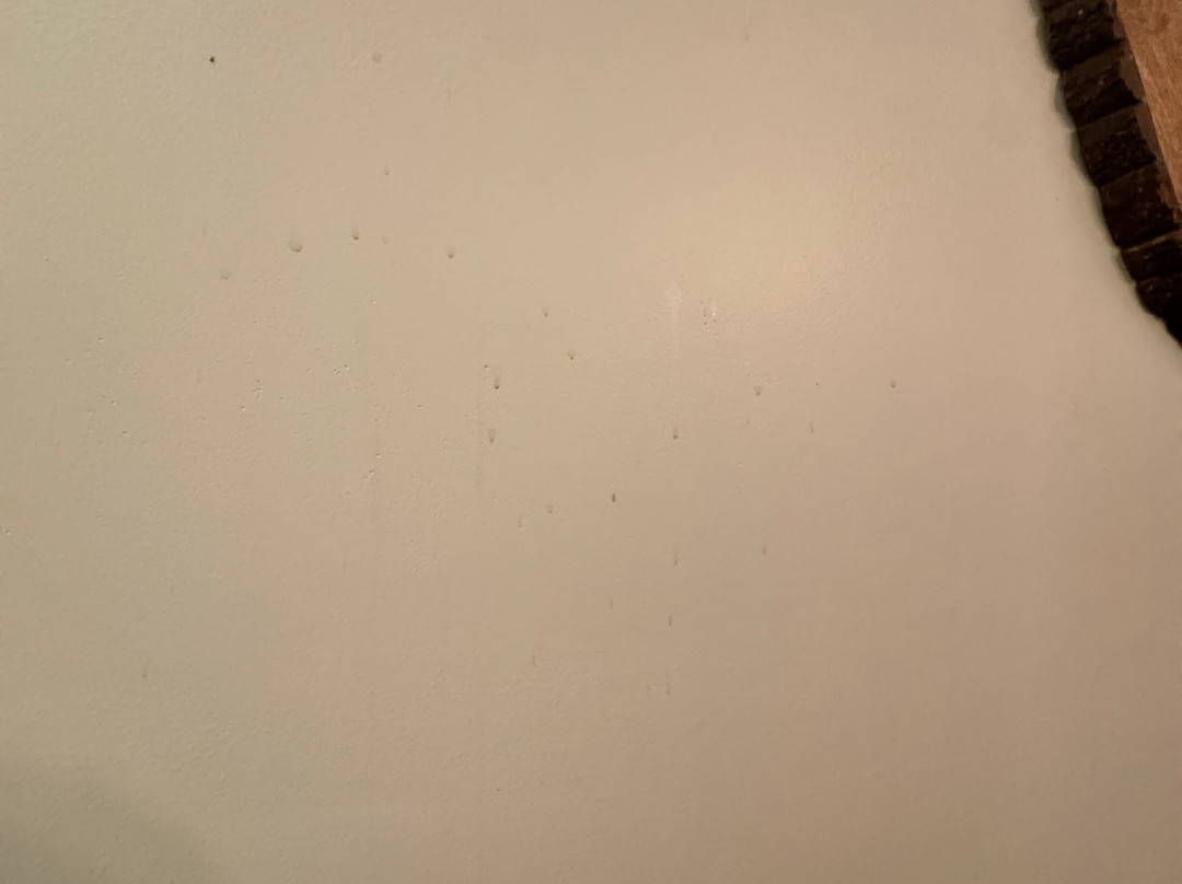 The Warren Lodge主图