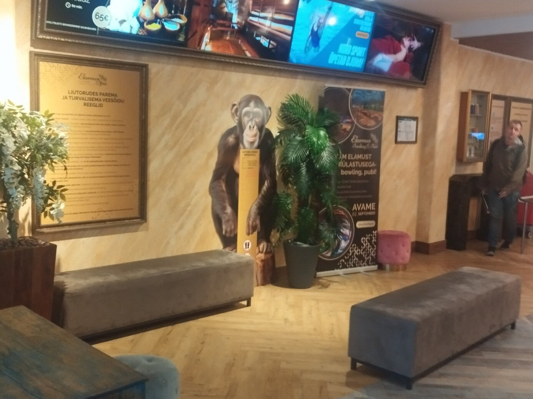 Elamus Spa-塔林必去景点