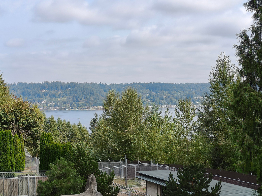 Cougar Mountain Zoo-伊瑟阔必去景点