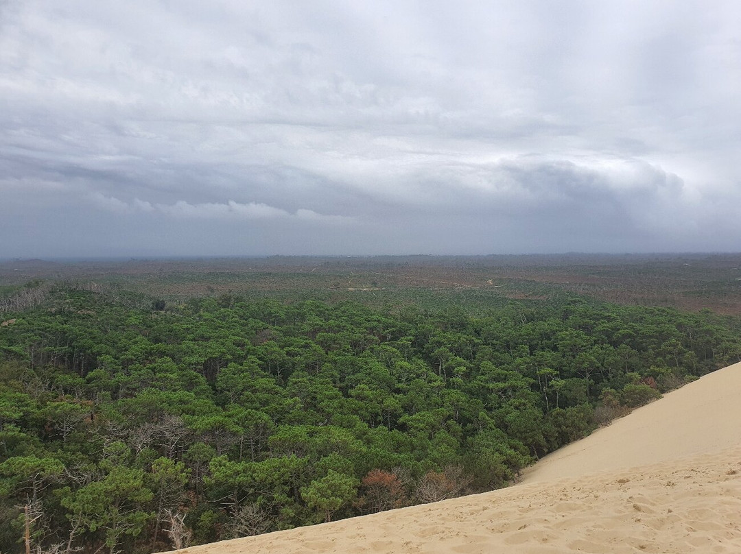 Great Dune of Pilat-拉泰斯特德比克必去景点