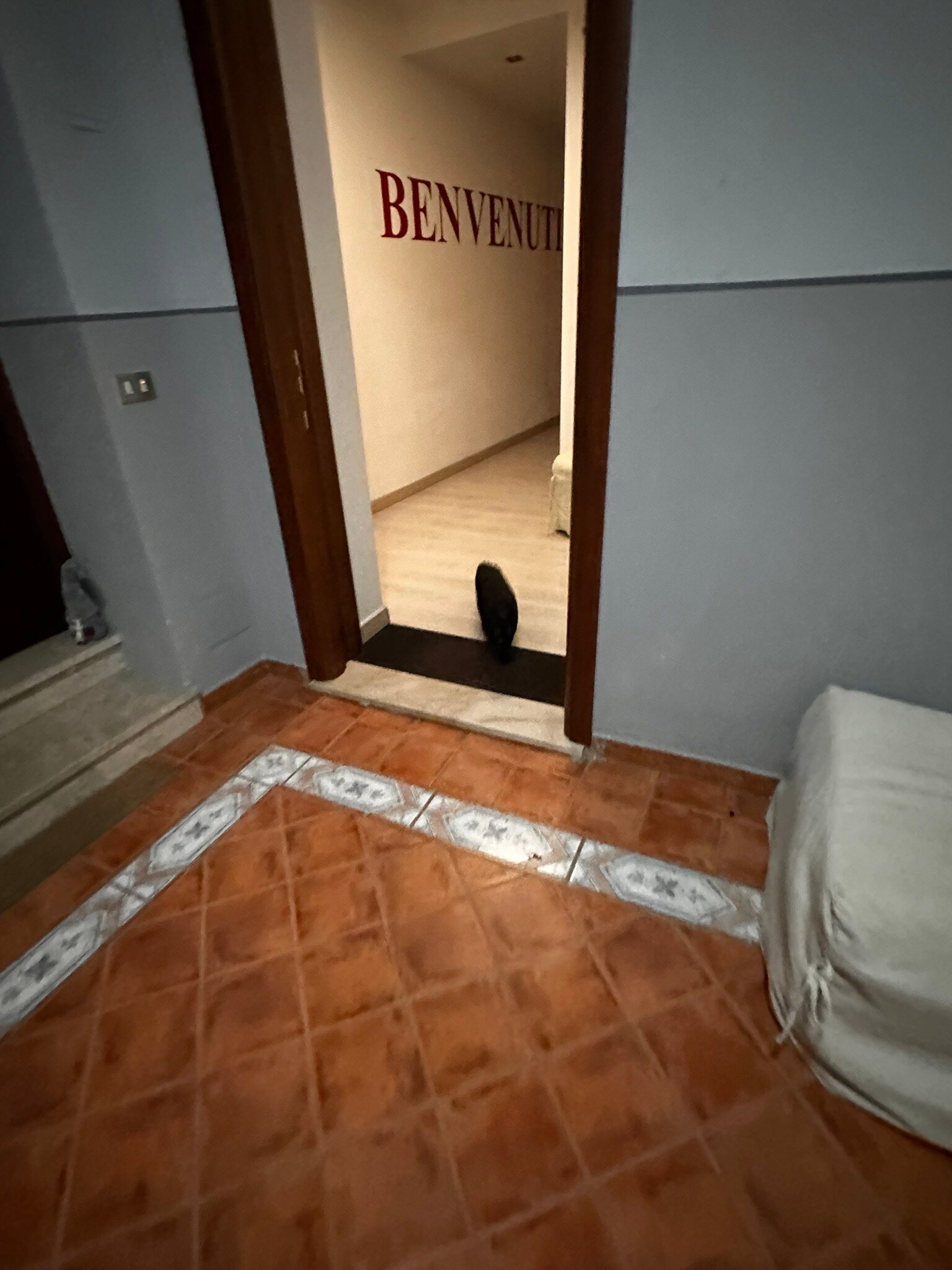 Palazzo Sciacca-官方