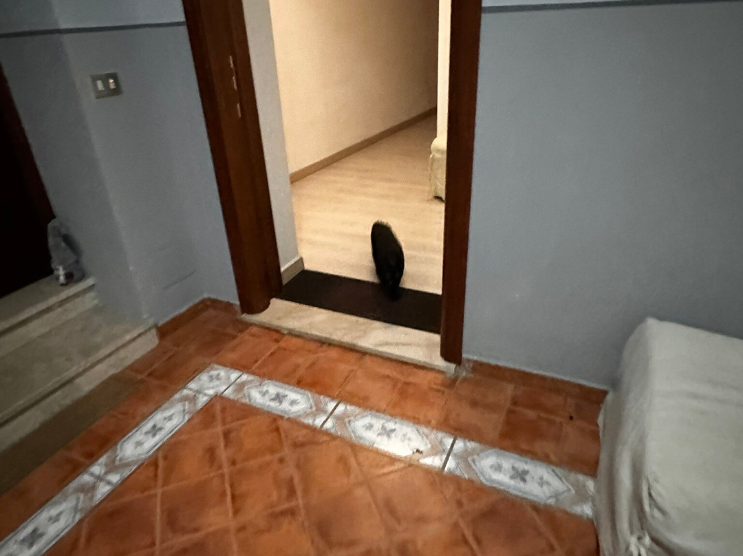 Palazzo Sciacca主图