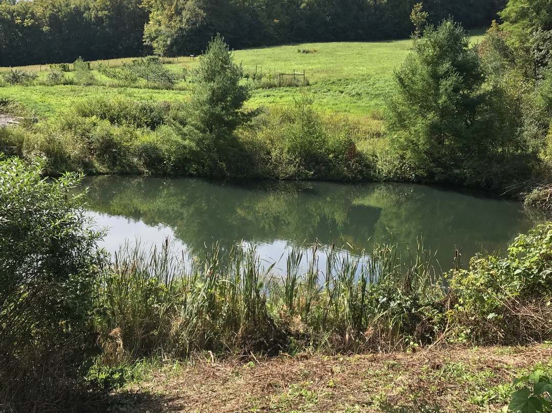 Scott Farm Orchard-Dummerston必去景点