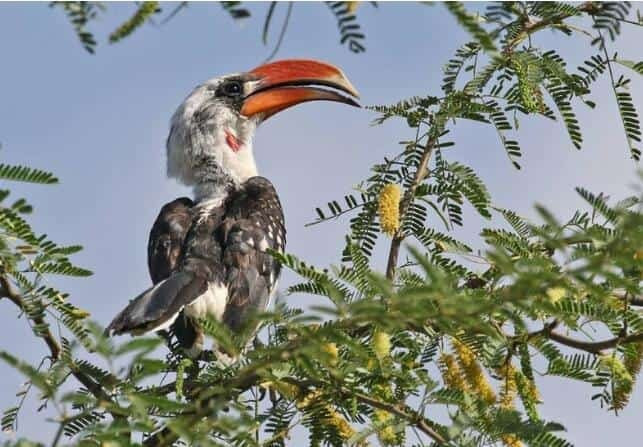 Diani By Day Tours-迪亚尼必去景点