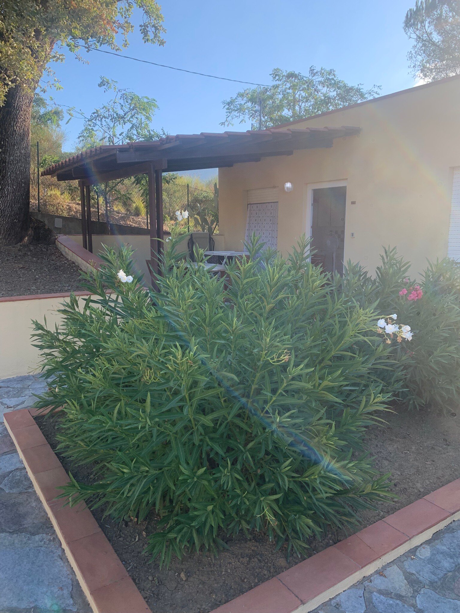 特利文托住宅酒店-官方