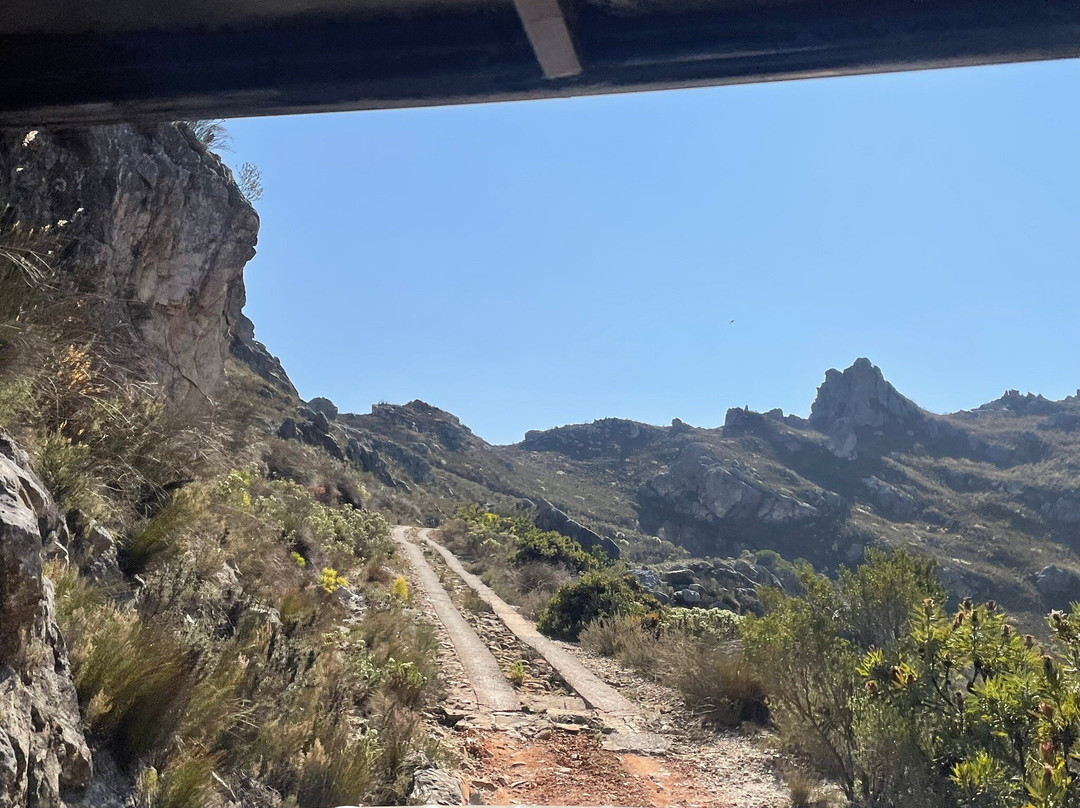 Cape Canopy Tour-Elgin必去景点
