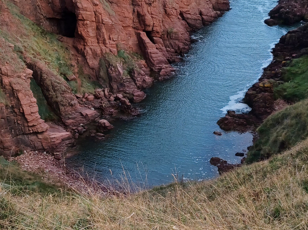 Arbroath to Auchmithie Coastal Path-Arbroath必去景点
