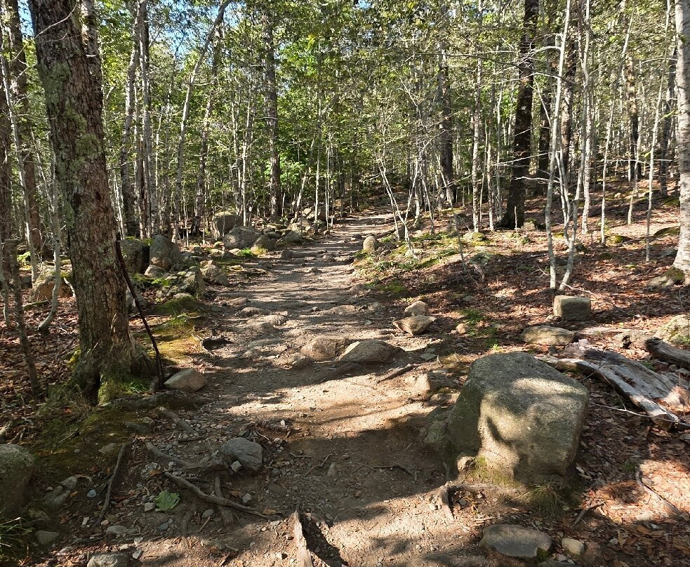Camel's Hump-蒙彼利埃必去景点