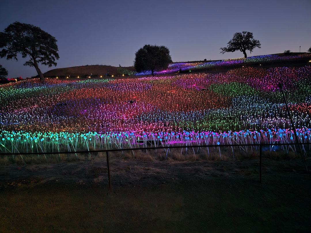 Sensorio-帕索罗布尔斯必去景点