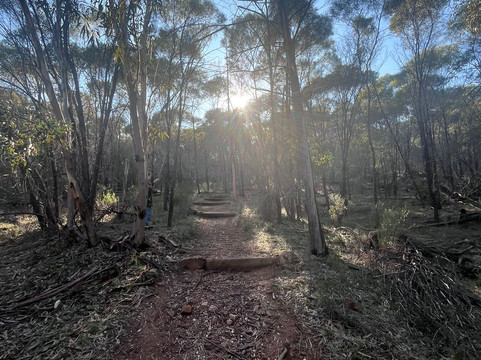 Ben Hall's Cave-Grenfell必去景点
