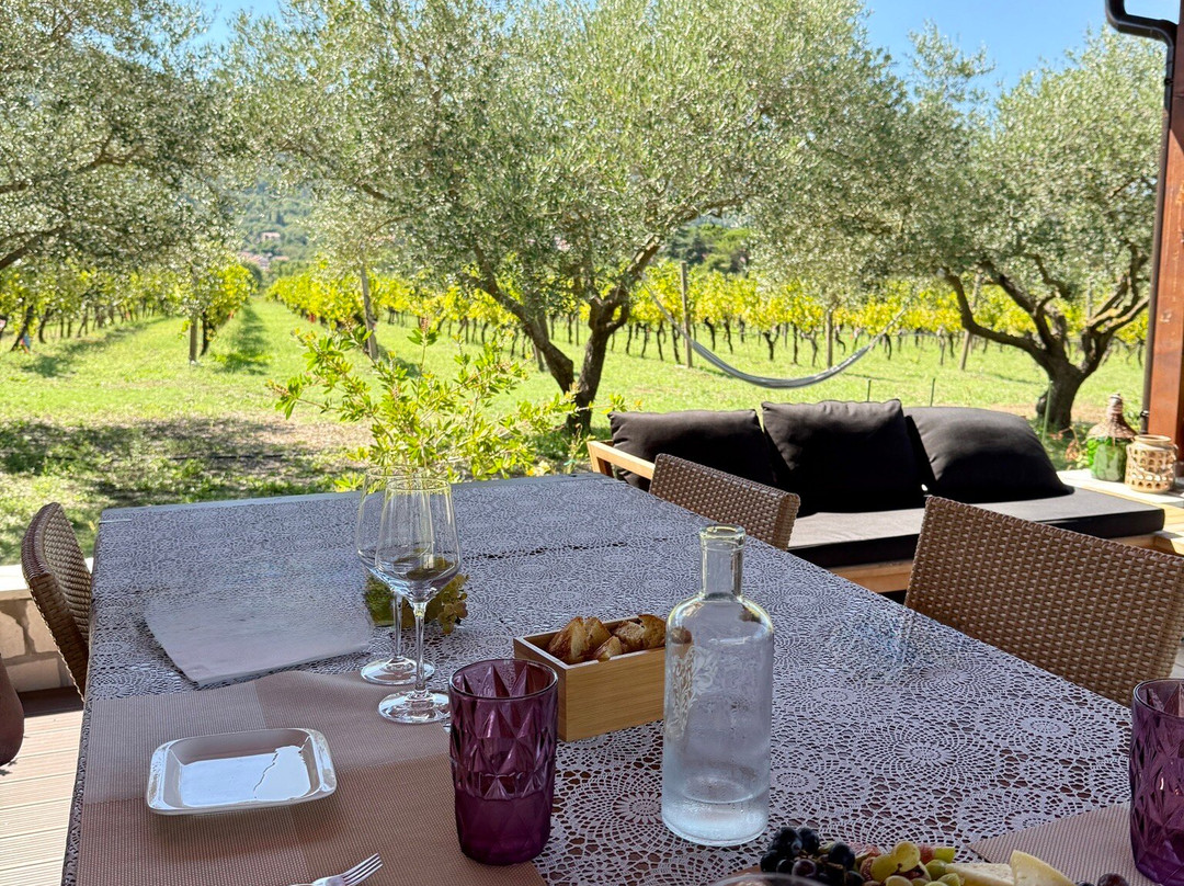 Winery Bratos-Gruda必去景点