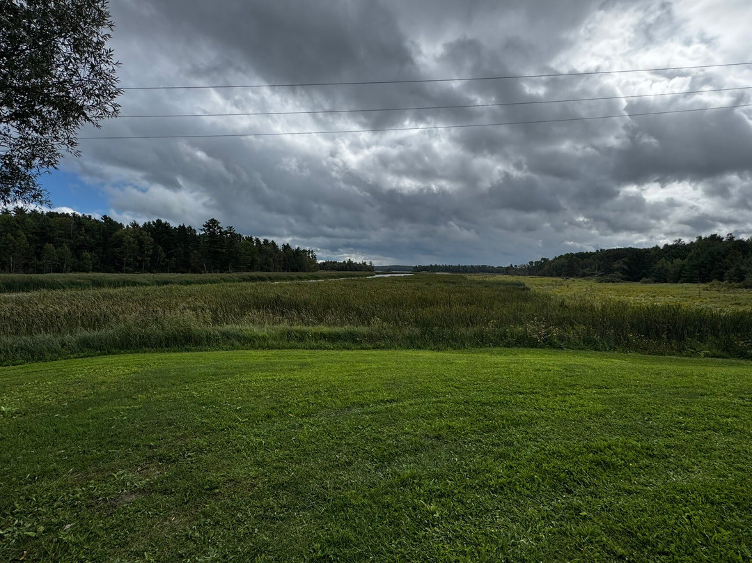 Texas Barbecue Of Canada