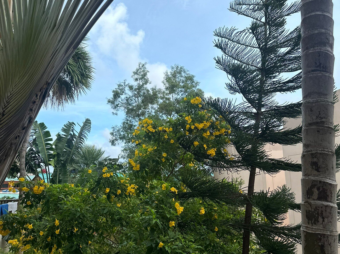 公主海景度假村主图