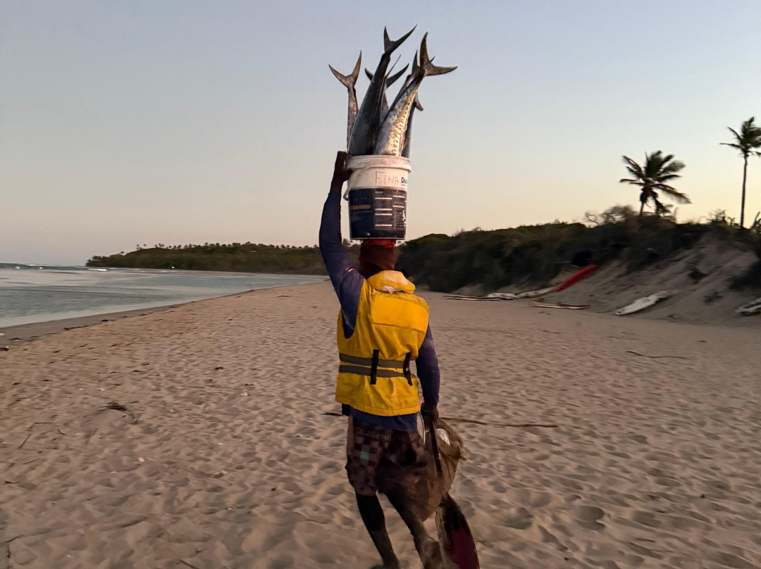 SAFARI, DRIVE & DIVE TOURS-Inhambane必去景点