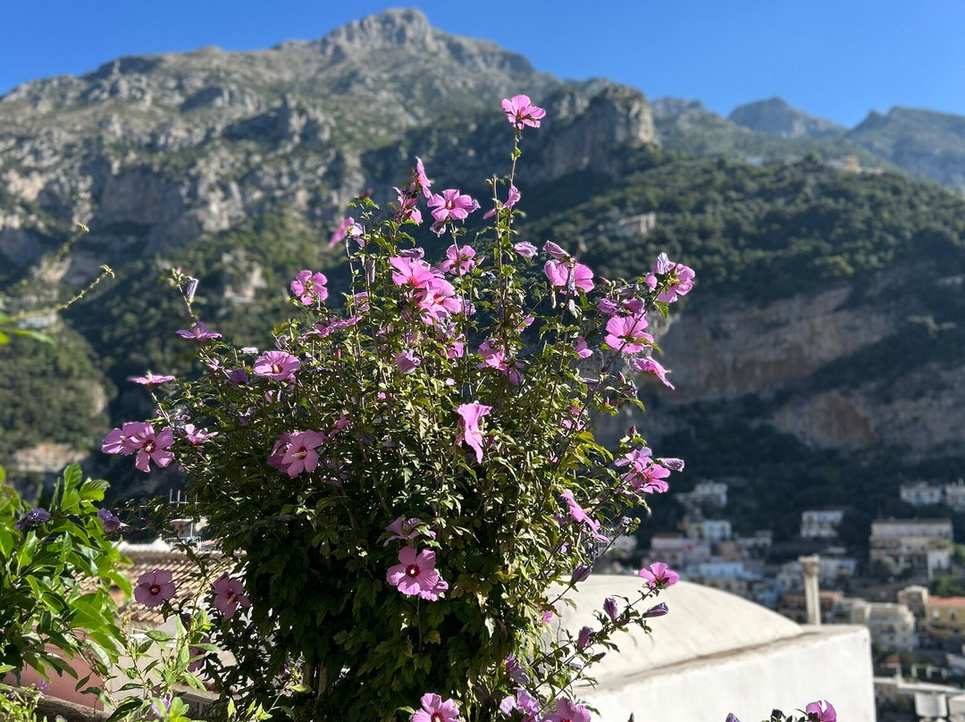 Walk Positano by Gabriella-波西塔诺必去景点