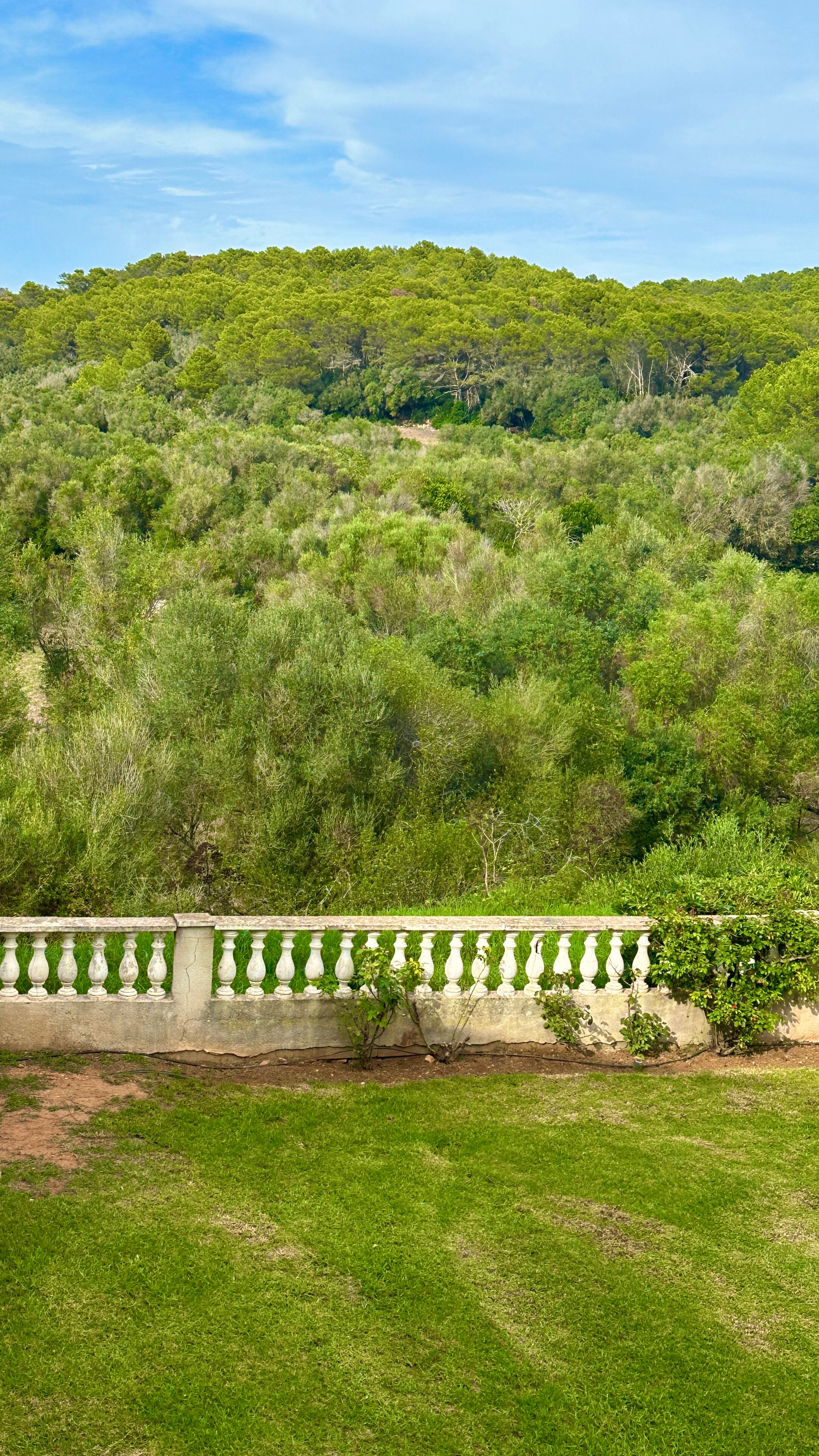 HG梅诺卡花园公寓式酒店-酒店景观