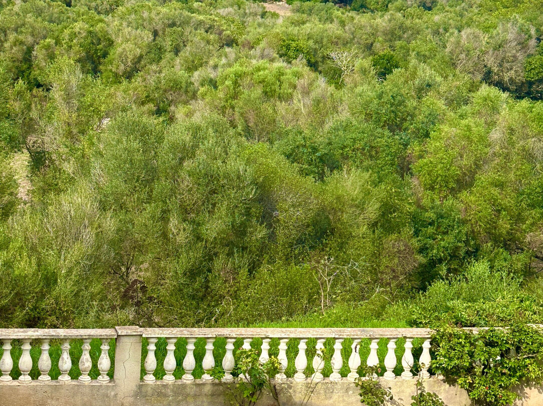 HG梅诺卡花园公寓式酒店主图