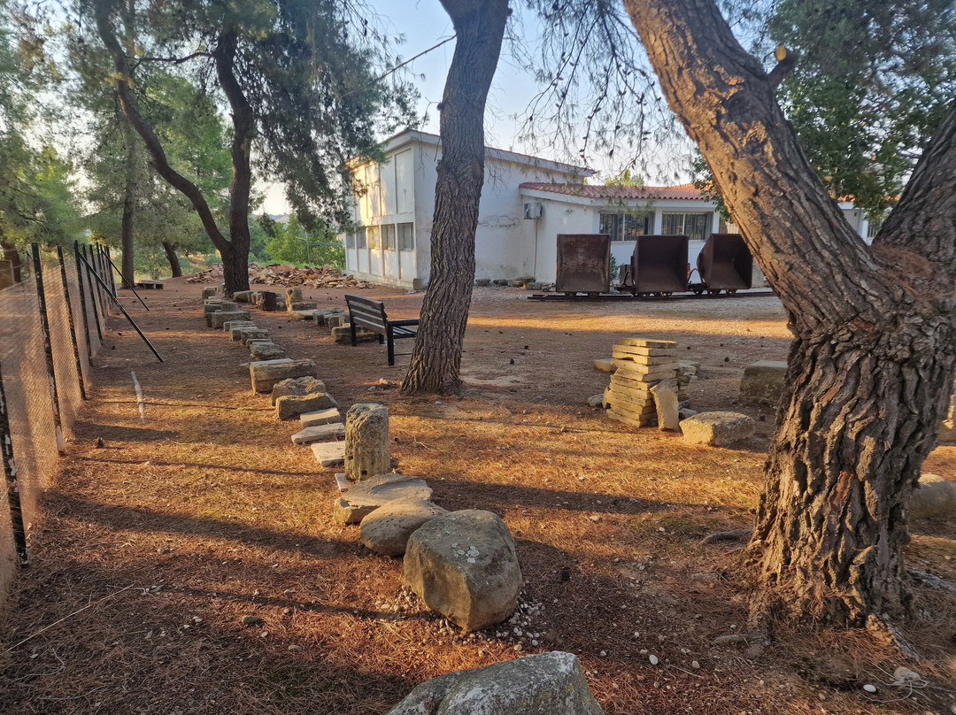 Archaeological Museum of Ancient Elis-Archea Ilida必去景点