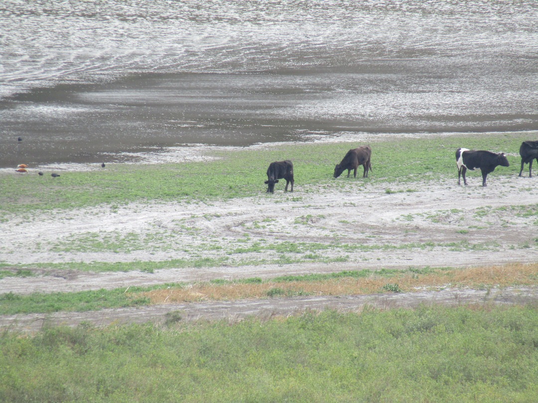 Dique Los Sauces-拉里奥哈必去景点