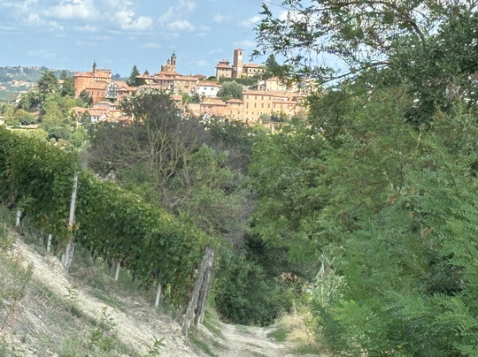 I Quattro Grappoli主图