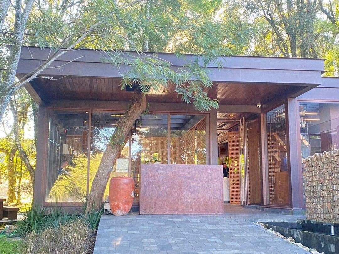 Lidio Carraro Vinícola Boutique-本图贡萨尔维斯必去景点